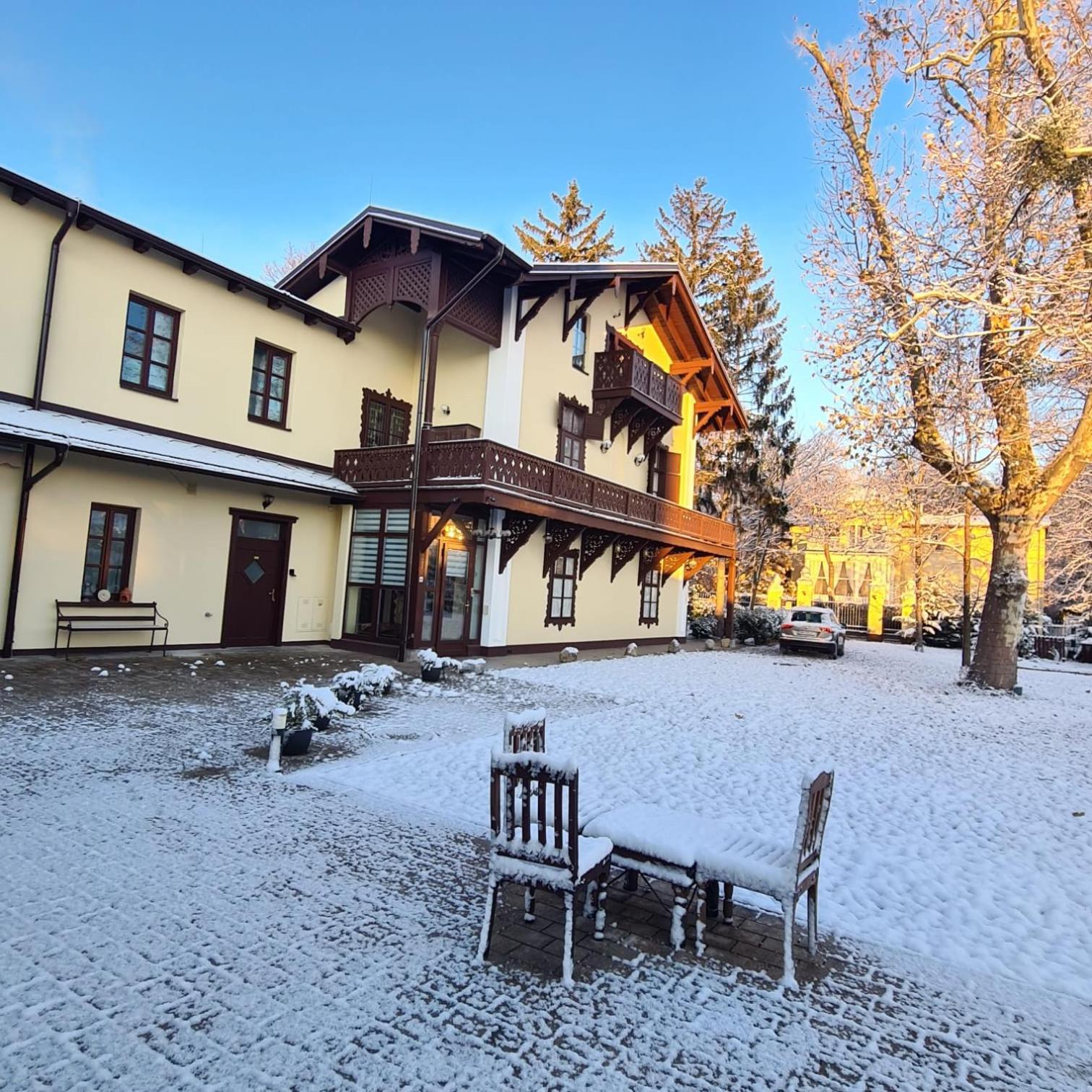 Villa Musik - Historical Apartments In Баден Экстерьер фото